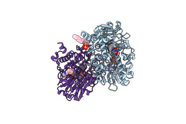 2XFP image
