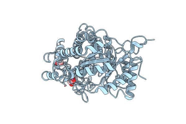 2XFR image