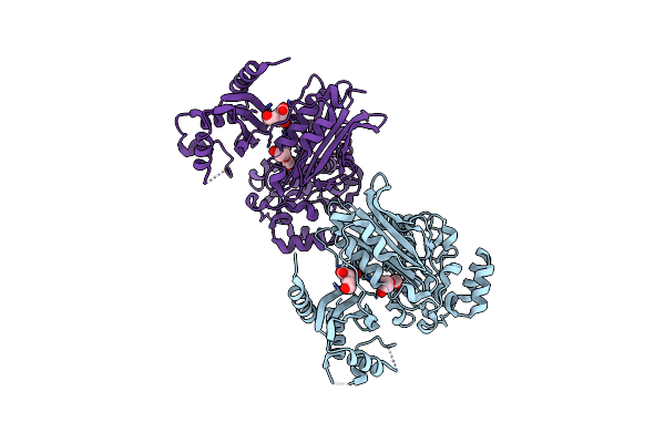 2XFS image