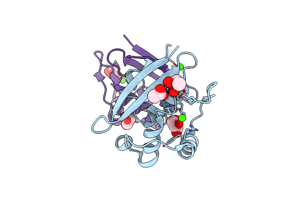 2XFV image