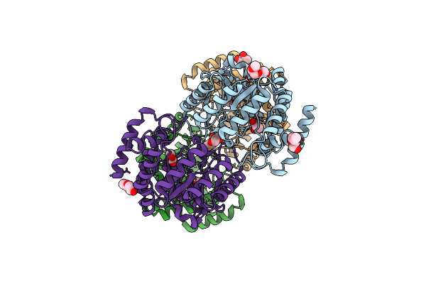 2XFW image
