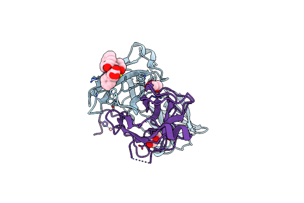 2XG5 image