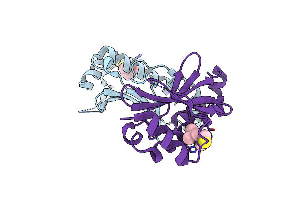2XGA image