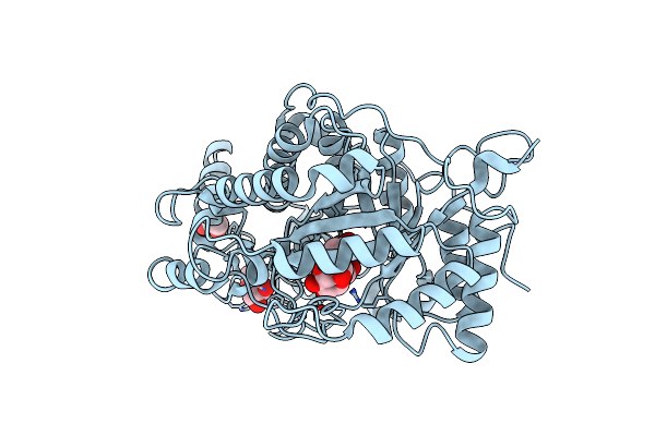 2XGB image