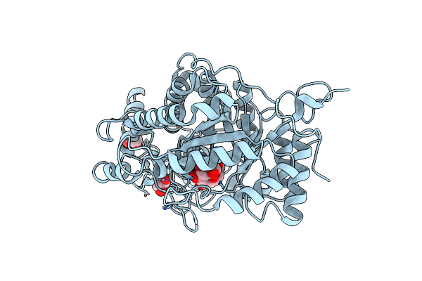 2XGI image