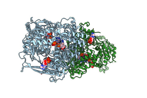 2XGJ image