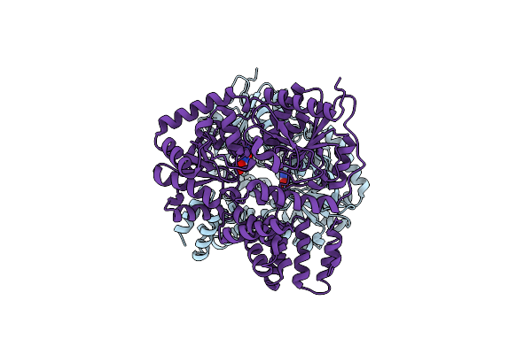 2XGM image