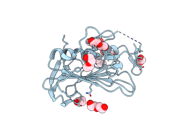 2XGR image