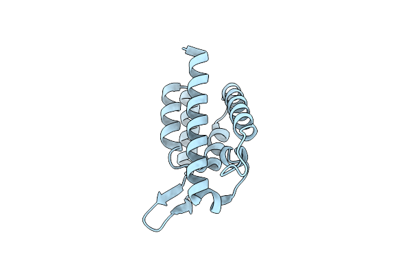 2XGV image