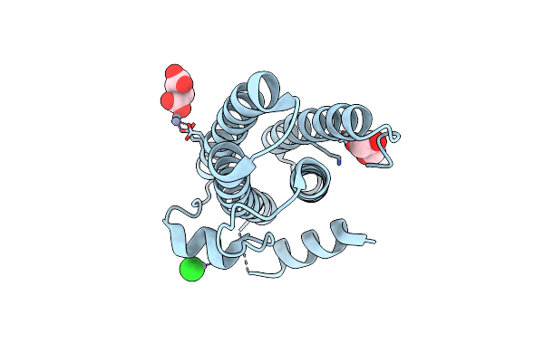 2XGW image