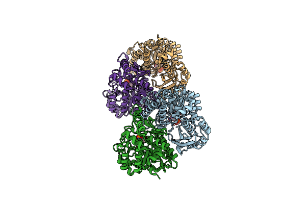 2XH2 image