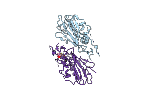 2XH3 image