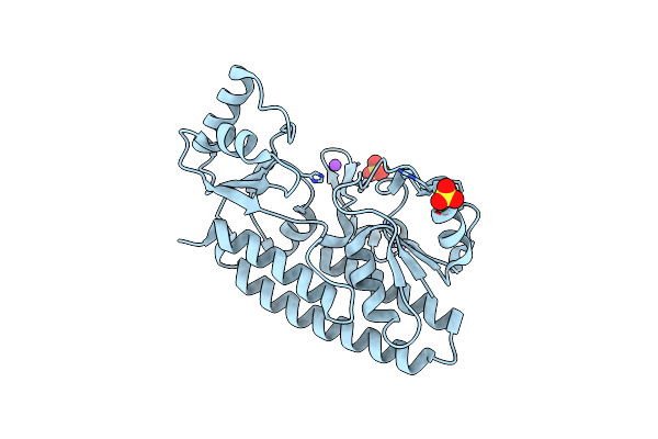 2XH8 image