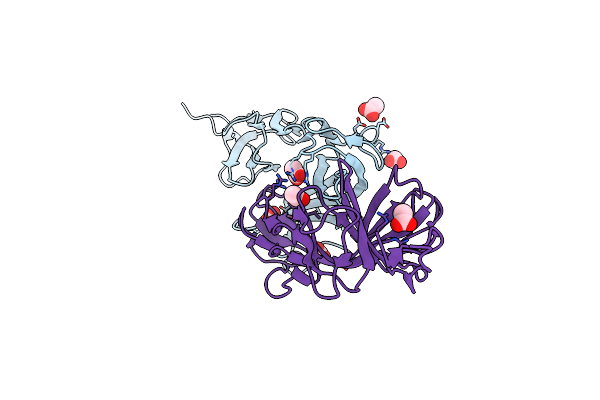 2XHA image