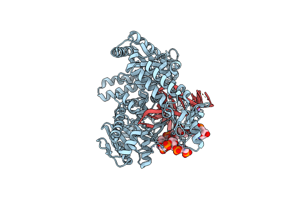 2XHB image