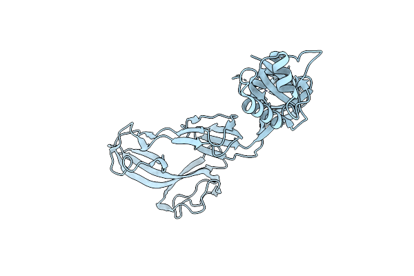 2XHC image