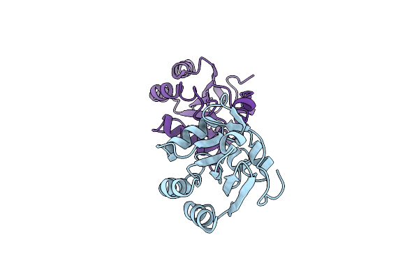 2XHF image