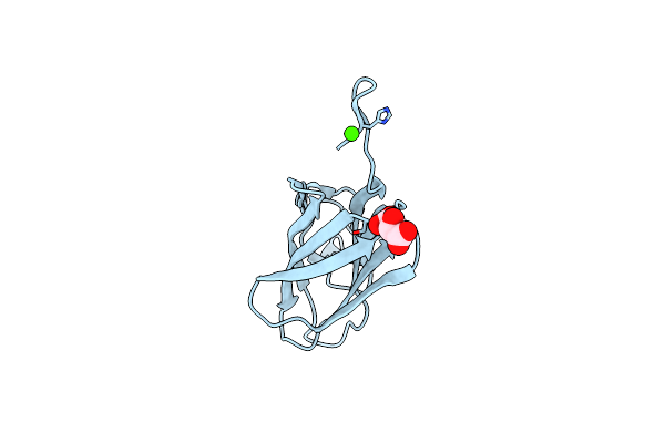 2XHH image
