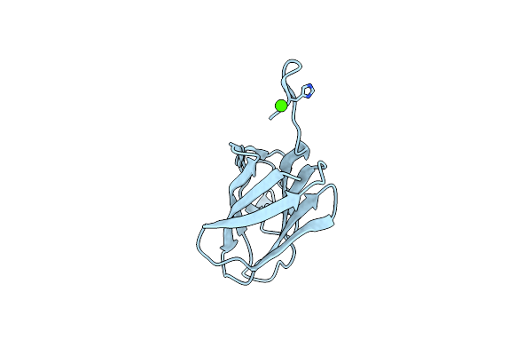 2XHJ image