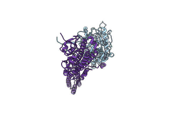 2XHL image