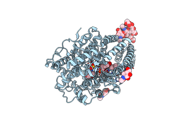 2XHM image