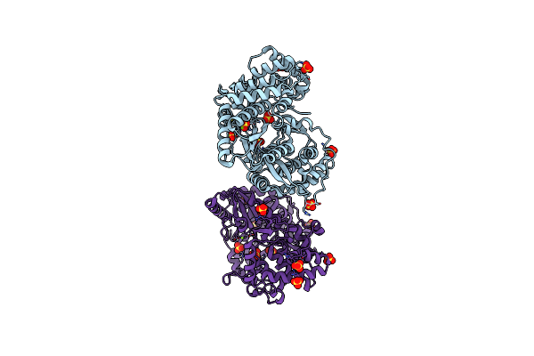 2XHV image