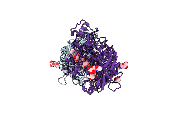 2XI4 image