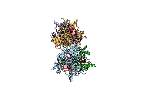 2XIB image