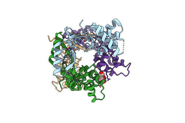 2XIG image