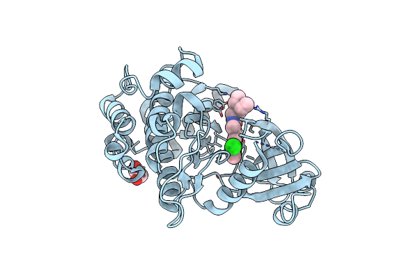 2XIK image