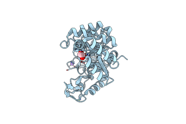 2XIO image