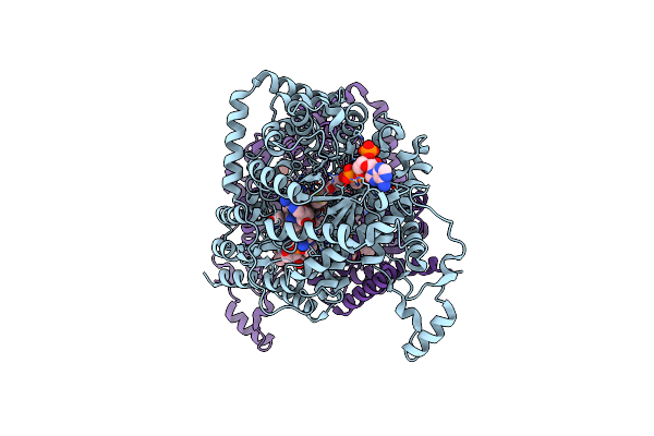2XIQ image