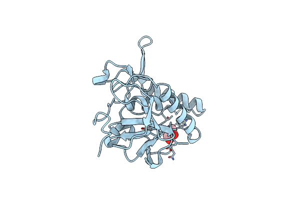 2XIV image