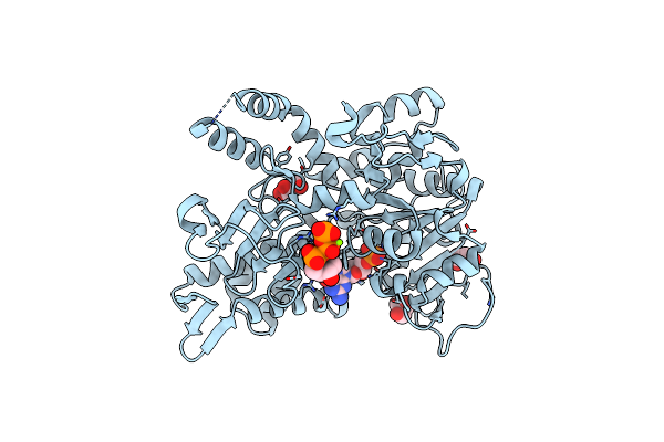 2XJB image