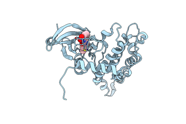 2XK9 image