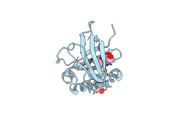 2XKL image