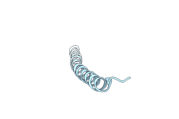 2XKM image