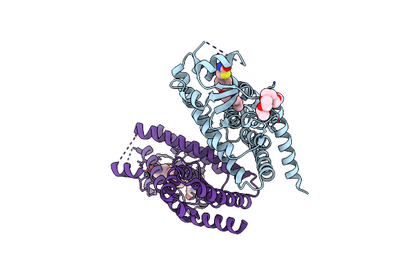 2XKW image
