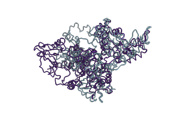 2XKX image