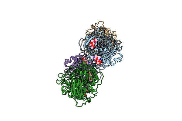 2XLL image