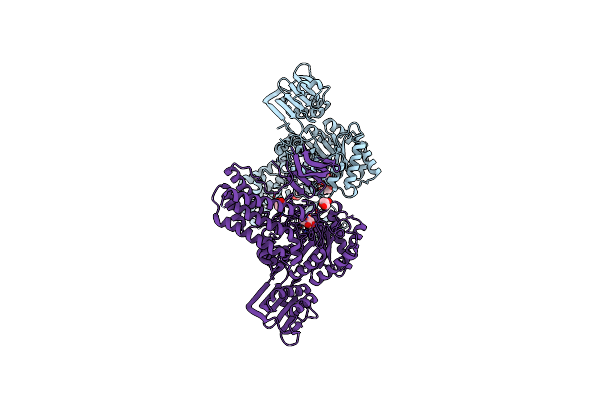 2XM1 image