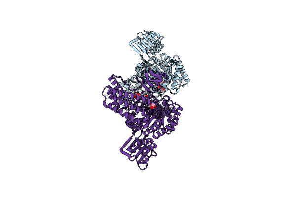 2XM2 image