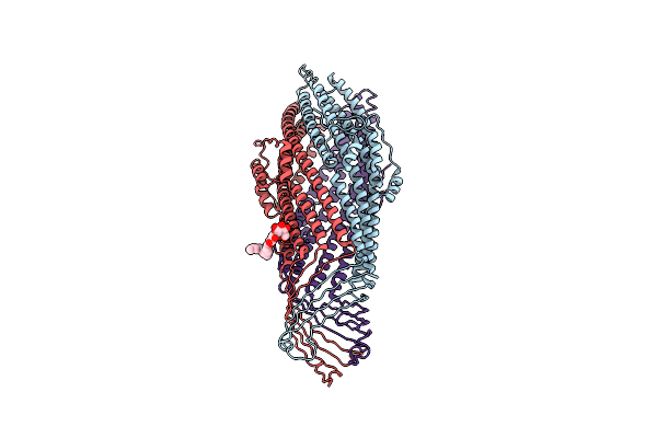 2XMN image