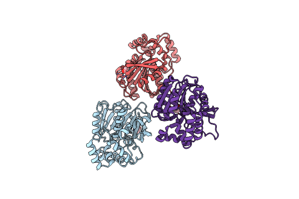 2XMQ image