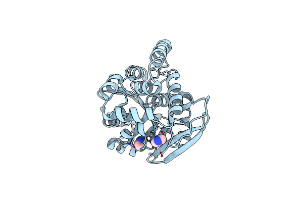 2XMS image