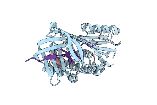 2XN3 image