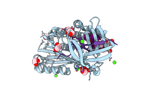 2XN6 image