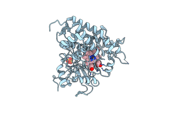 2XN8 image