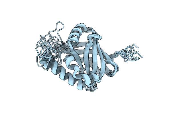 2XNF image
