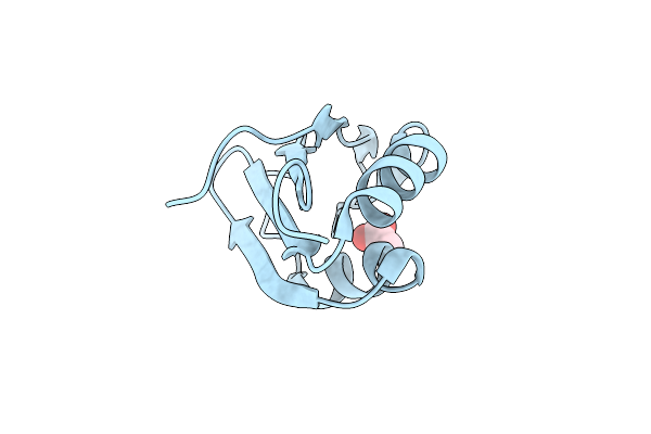 2XNQ image